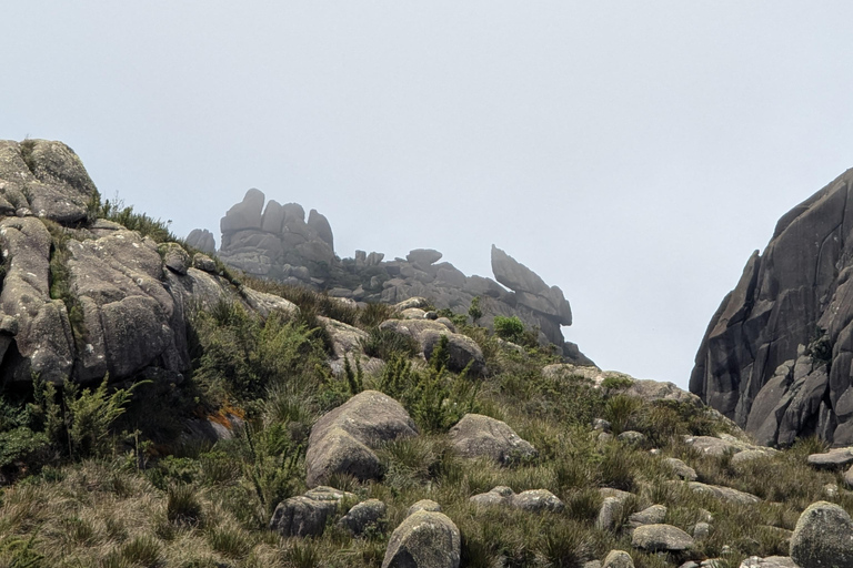 Rio de Janeiro ou São Paulo : circuit de 3 jours dans le parc national d'Itatiaia