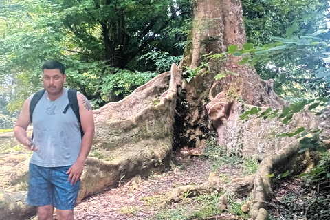 Bogor Botanical Garden and Domas Megalithic Site Tour