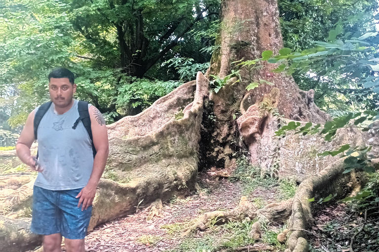 Bogor Botanical Garden and Domas Megalithic Site Tour