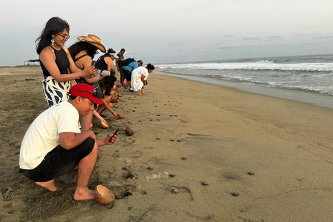 Puerto Escondido: Unforgettable Turtle Release Experience