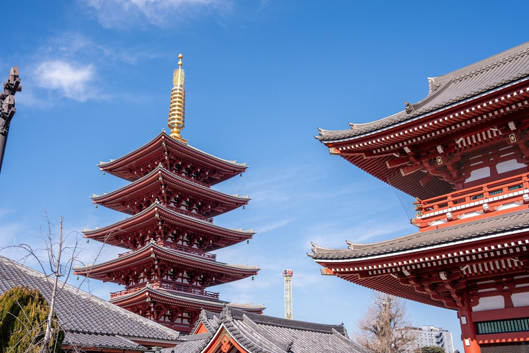 Tokyo: 1-dagars höjdpunkter med privat bil och guide