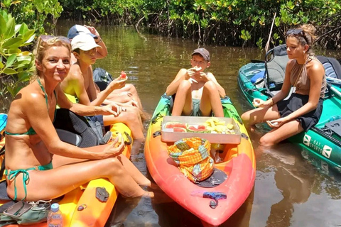 UZI ISLAND MANGROVE CONSAVATION WITH KAYAK TOUR PRIVATE TOUR WITH TRANSFER INCLUDED