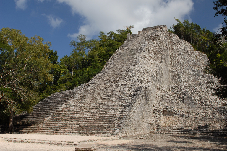 From Riviera Maya: Coba, Punta Laguna and Cenote Day Trip From Tulum: Coba, Punta Laguna and Cenote Day Trip