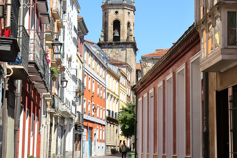 Vitoria-Gasteiz: Guided Walking Tour with Historian