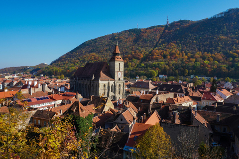 From Bucharest: Cantacuzino Castle, Bears & Brasov Tour