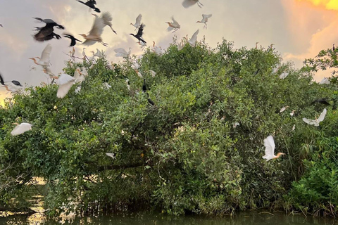 Mirissa to Matara: Crocodile, Bird, Monkey Photography Tour Shared Wildlife Photography Boat Tour - 2 Hours