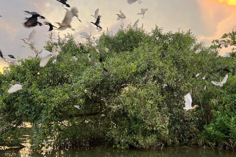 Mirissa to Matara: Crocodile, Bird, Monkey Photography Tour Shared Wildlife Photography Boat Tour - 2 Hours