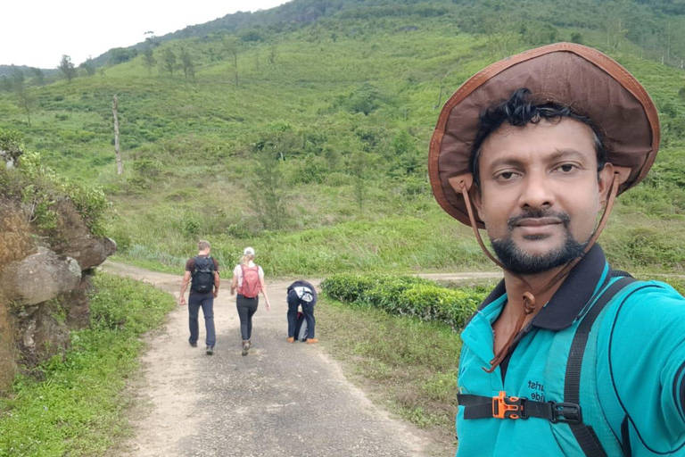 纳克尔斯峰探险和希洛亚村露营 2 日游