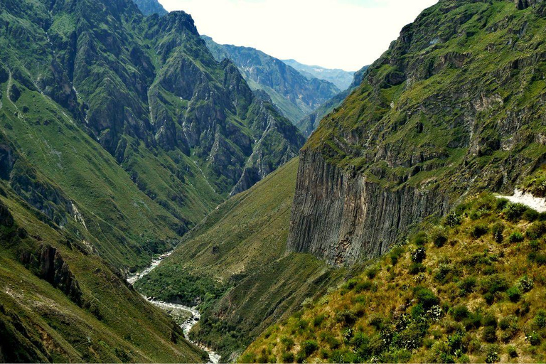 1 dagsutflykt till Colca Canyon +Transfer till Puno med måltider