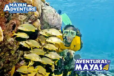 Aventura Maya - ¡3 lugares diferentes para hacer snorkel en un día!
