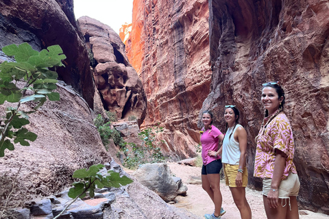Wadi Rum: 2-Day Southern Desert Tour, Camel & Stargazing