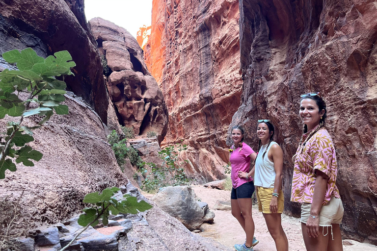Wadi Rum: 2-Day Southern Desert Tour, Camel & Stargazing