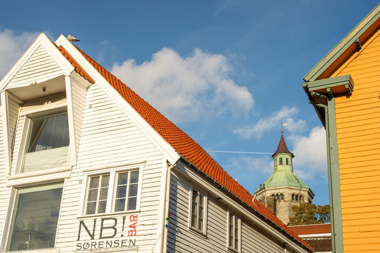 Private Stavanger city Highlights Driving tour