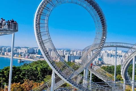 Busan : vallée glacée de Cheongsong, promenade spatiale de Pohang et GyeongjuVisite partagée - Rendez-vous à la gare KTX de Busan