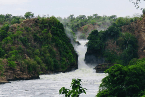 UGANDA: 7-daagse Murchison watervallen, koningin Elizabeth en Ziwa