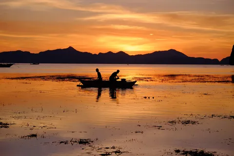 Authentic Lake Fishing & Cooking Experience:from Trincomalee