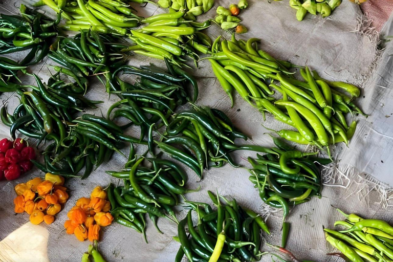 Zanzibar: Jozani-skogen, kryddgård, privat tur i Stenstaden