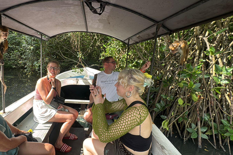 Bentota/Beruwala: Galle Fort, Koggala Lake & Kayaking Tour