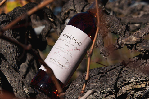 Tenerife: Guided tour with tasting of 6 wines