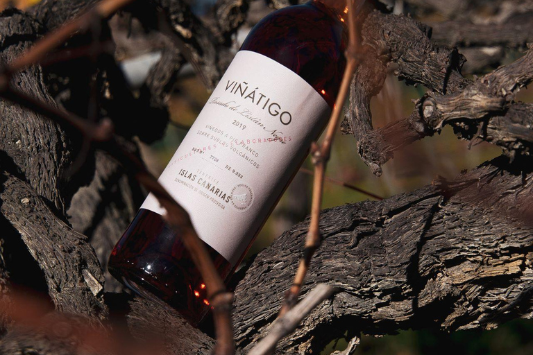 Tenerife: Guided tour with tasting of 6 wines