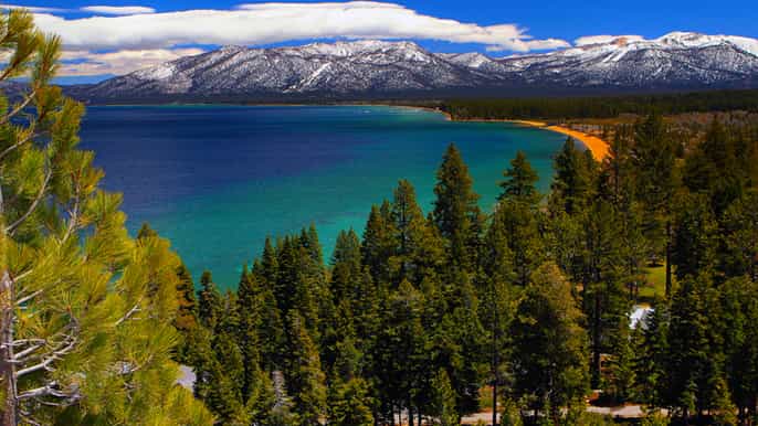 lake tahoe halfday photographic scenic tour