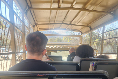 From Johannesburg: Lion & Safari Park Guided Game Drive