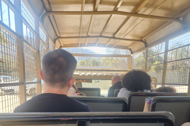 From Johannesburg: Lion & Safari Park Guided Game Drive