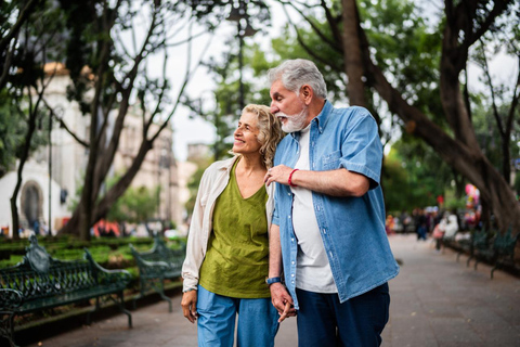 Full-day private tour from Mexico city to Coyoacán German Guided Tour