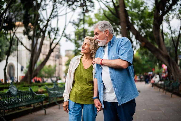 Full-day private tour from Mexico city to Coyoacán German Guided Tour