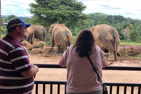 7 night 8 days Tour in Srilanka