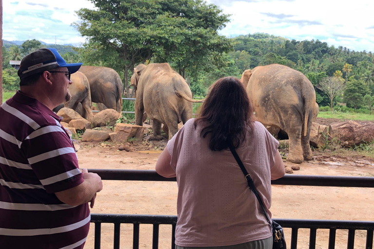 7 night 8 days Tour in Srilanka