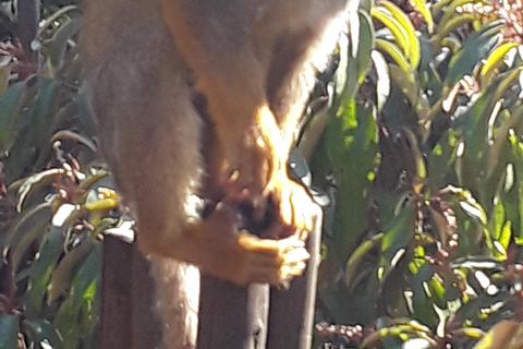 The Elephant and Monkey Sanctuary.