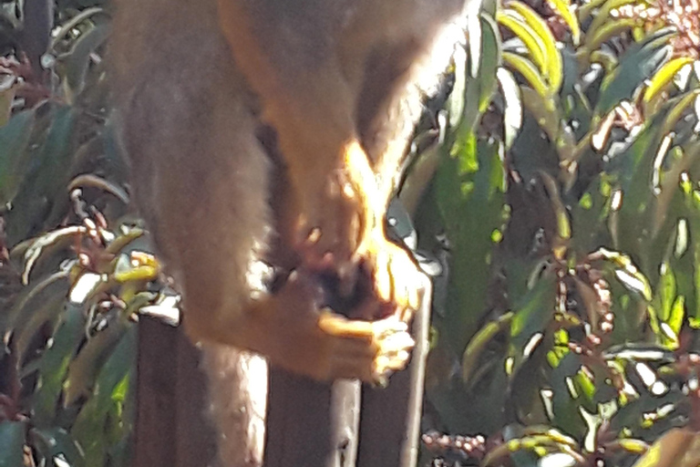 The Elephant and Monkey Sanctuary.