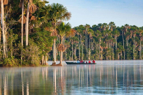 Puerto Maldonado: 3-Day Amazon Lodge Tour