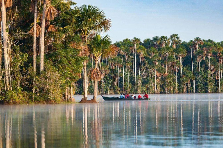 Puerto Maldonado: 3-Day Amazon Lodge Tour