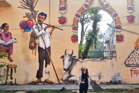 Tour de arte de rua em Délhi: Explore os murais e visite um poço de passosTour de arte sem refeição no sul da Índia