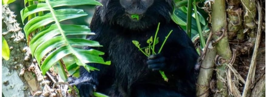 Lombok : visite du village de Tetebatu avec cascades et déjeuner