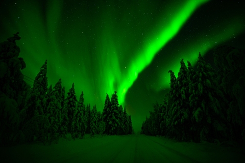 En famille : Aventure des aurores boréales depuis Rovaniemi