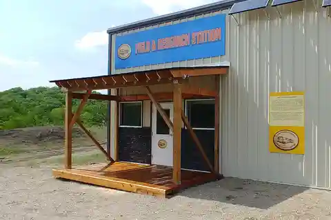 Morden, Manitoba: Excursão de 1 dia com escavação de fósseis e instrutor