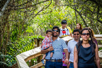Miami, Everglades Safari Park Airboat Tour and Park Entrance - Housity