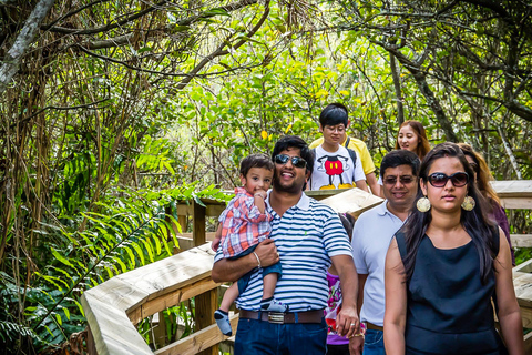 Miami : Visite du parc Safari des Everglades en canot pneumatique