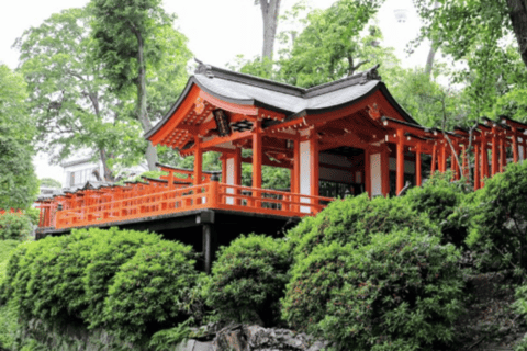 Tokyo: Old Tokyo Walk with Yanaka Retro Street & Nezu Shrine