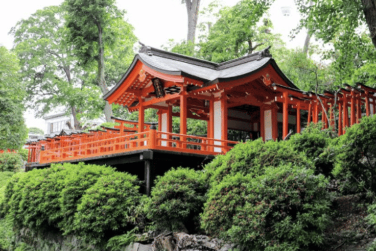 Tokyo: Old Tokyo Walk with Yanaka Retro Street & Nezu Shrine