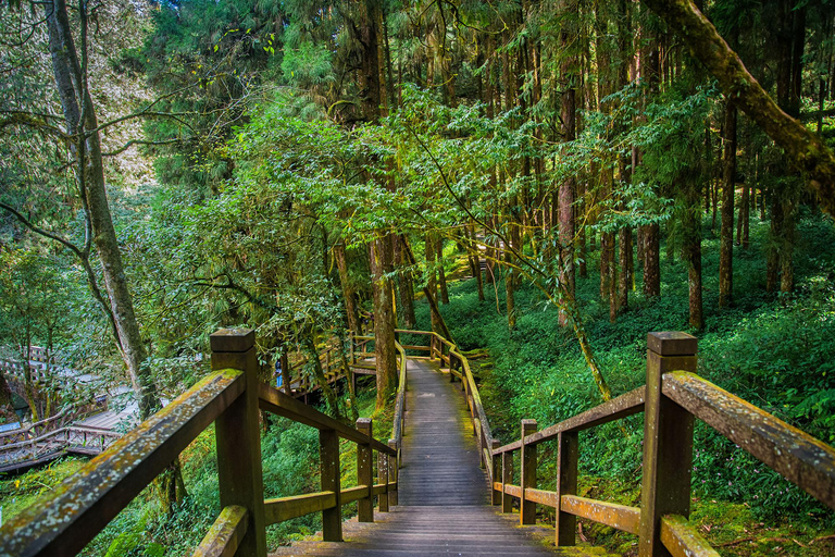 From Taipei: Alishan 2 Days Private Tour