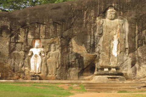 Ella: Diyaluma Waterfalls & Buduruwagala Temple Day Tour