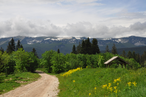 Sarajevo: Olympic Mountains Tour with Optional Zipline