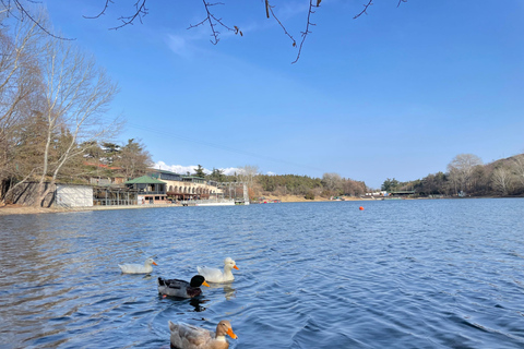 Tbilisi: Elegantie van traditionele architectuur &amp; Schildpaddenmeer