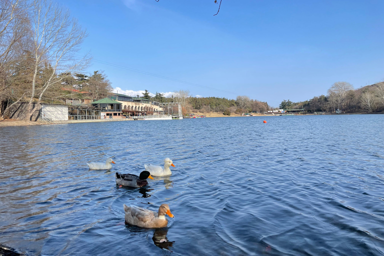 Tbilisi: Elegantie van traditionele architectuur &amp; Schildpaddenmeer
