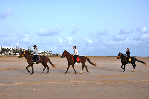 DJERBA : Paseo a caballo privado (2h).