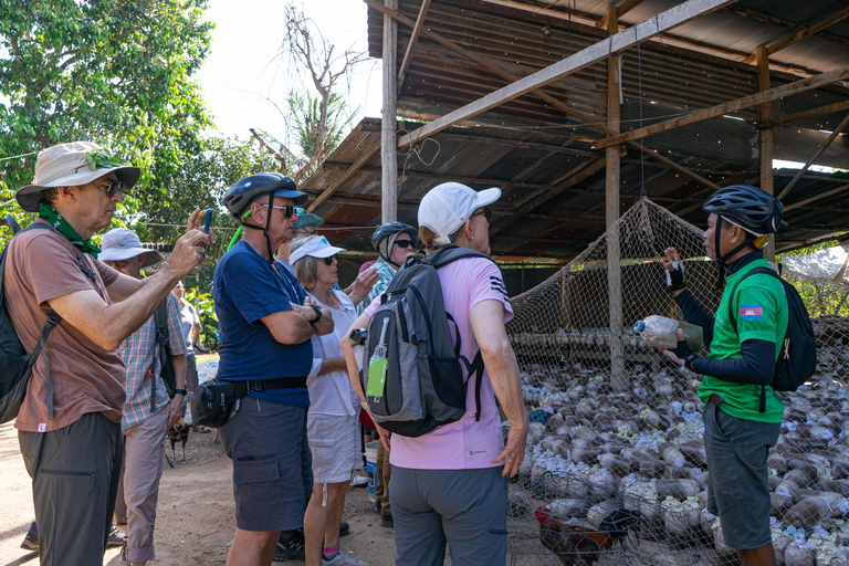 Siem Reap: Countryside Bike Tour & Evening Foodie Full-Day Haft Day: Evening Food Tour